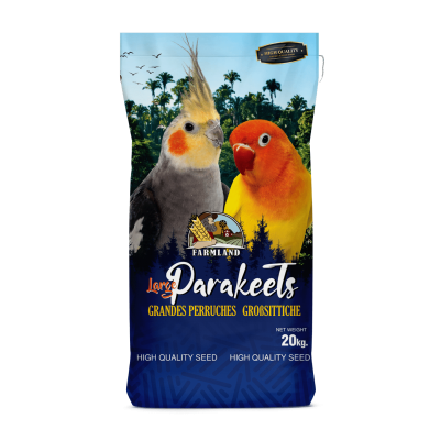 Large Parakeets