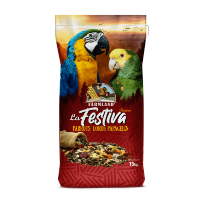 La Festiva