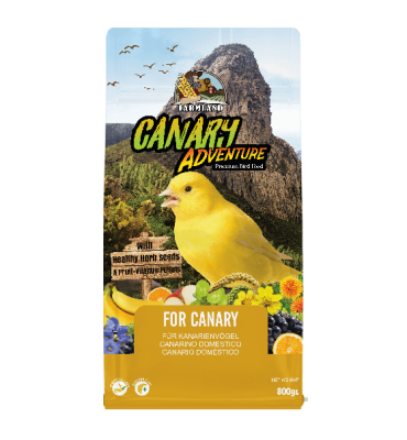 800921 - Canary Adventure 800 gr