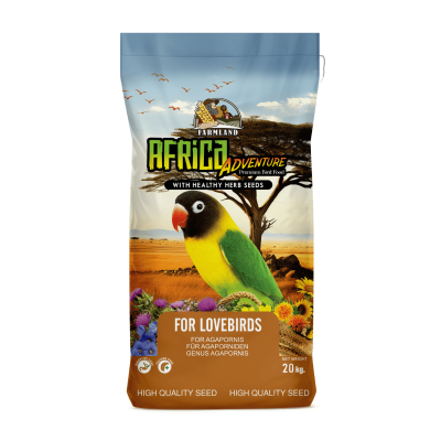 Africa Adventure