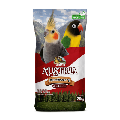 Austria Parakeets A13