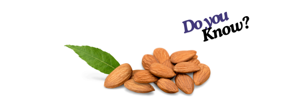 Almonds Nuts_6 Almonds Nuts_6