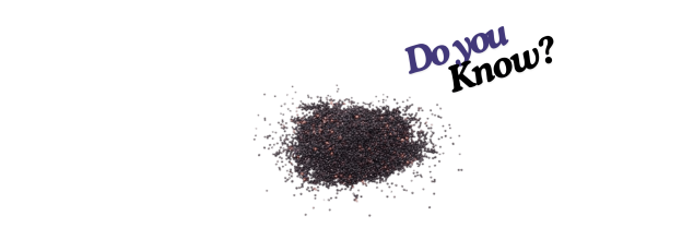Black Millet_6 Black Millet_6