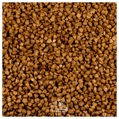 Buckwheat