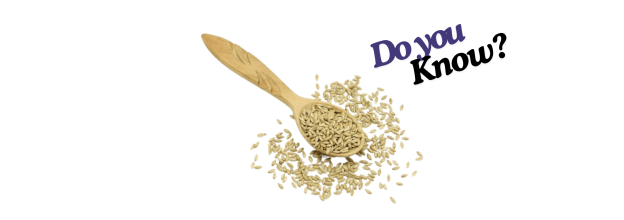 Canary Seeds_6 Canary Seeds_6