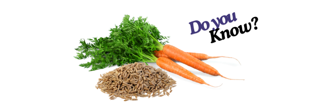 Carrot Seeds_6 Carrot Seeds_6