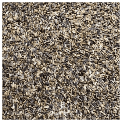 Chicory seeds