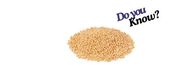 Cream Millet_6 Cream Millet_6
