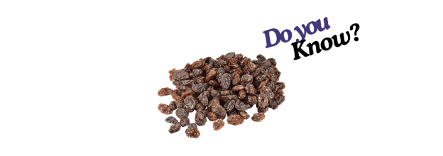 Dried Raisin_6 Dried Raisin_6