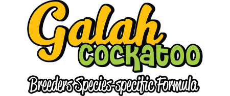 Galah Galah