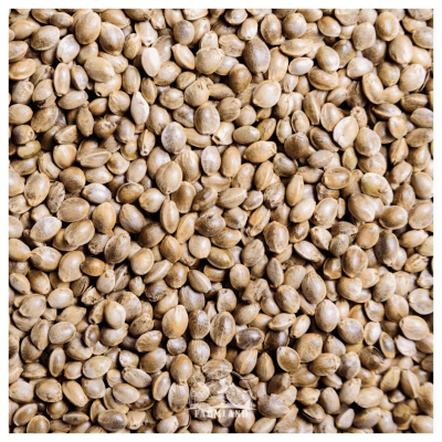 Hempseeds