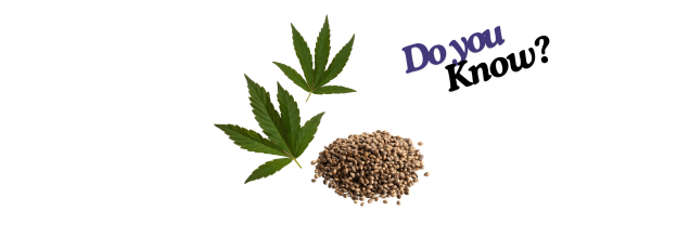 Hempseeds_6 Hempseeds_6