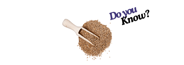 Japanese Millet_6 Japanese Millet_6