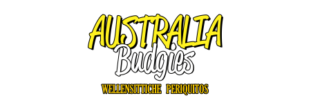 Logo Australia Budgies Logo Australia Budgies