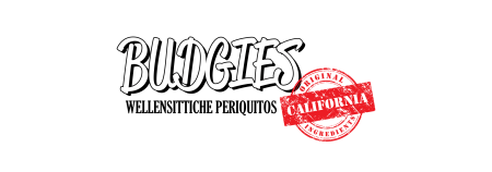 Logo Budgies California Logo Budgies California