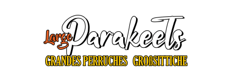 Logo Large Parakeets Logo Large Parakeets