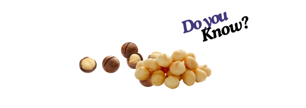 Macadamia Nuts_5 Macadamia Nuts_5