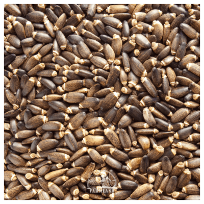 Maria Thistle seeds