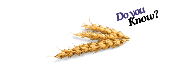 Oats Peeleds_6 Oats Peeleds_6