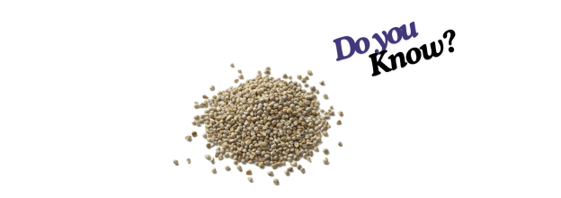 Pearl Millet_6 Pearl Millet_6