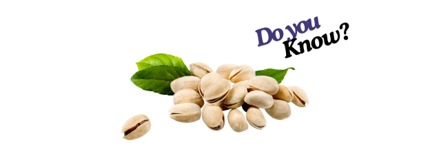 Pistachio Nuts_6 Pistachio Nuts_6