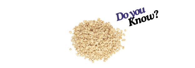 Puffed Wheat_6 Puffed Wheat_6