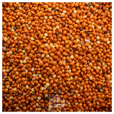 Red Millet