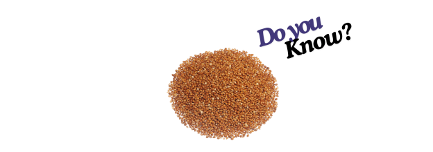 Red Millet_6 Red Millet_6