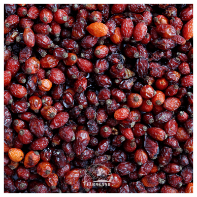 Rose Hip Dried