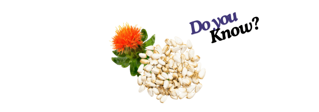 Safflower Seeds_6 Safflower Seeds_6