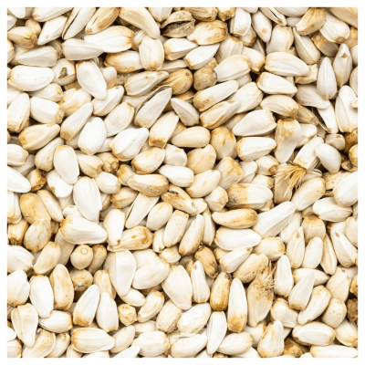 Safflower seeds