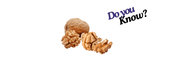 Walnuts Kernels_6 Walnuts Kernels_6