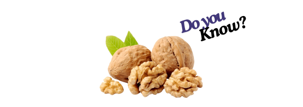 Walnuts in Shell_6 Walnuts in Shell_6