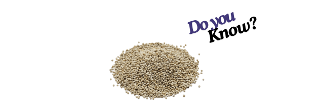 White Perilla Seeds_6 White Perilla Seeds_6