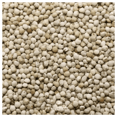 White Perilla seeds