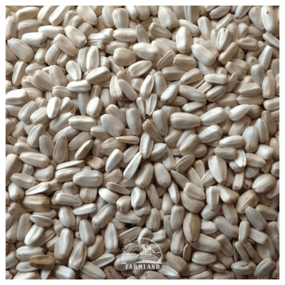 White Sunflower seeds